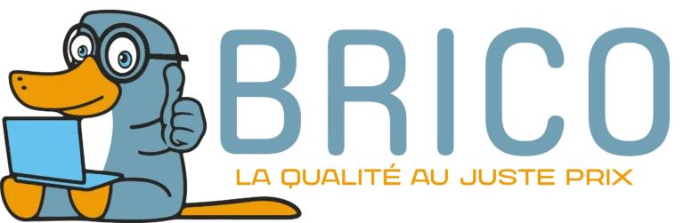 LOGOBRICO-768x251
